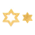 Family Star earrings pair - Gold plated